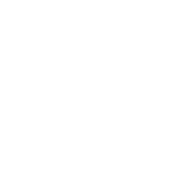 Insight Ledger